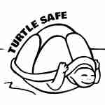 Turtle Safe