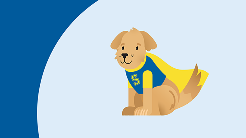 Stan the dog